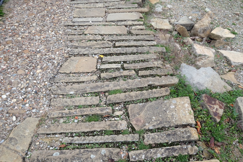 ������ �������, ���� ��������