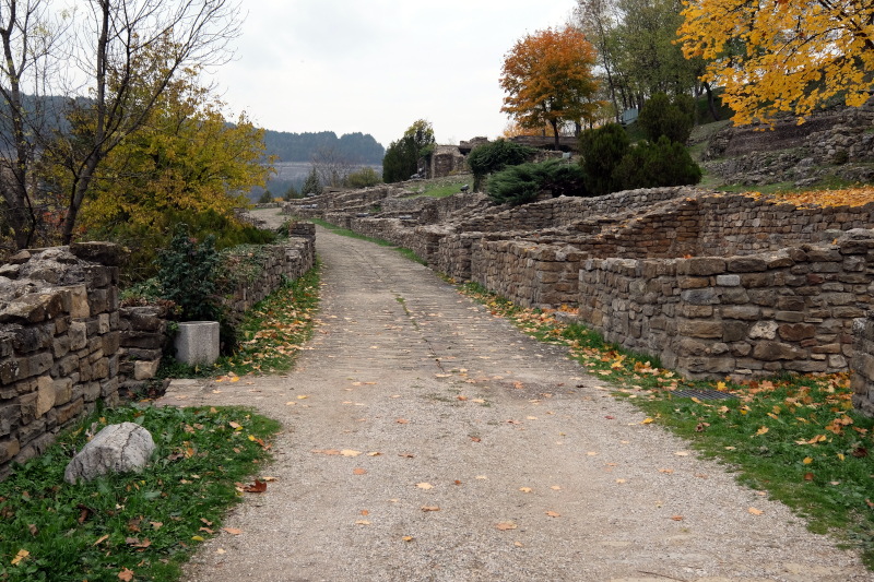 ������ �������, ���� ��������