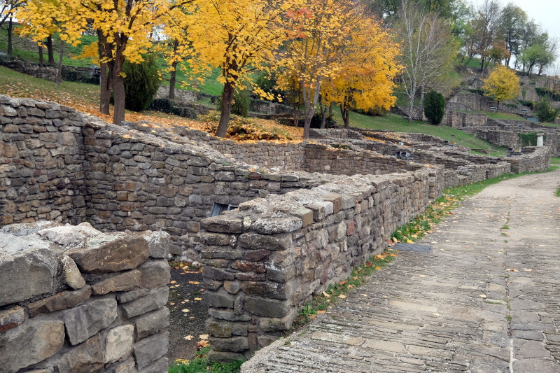 ������ �������, ���� ��������