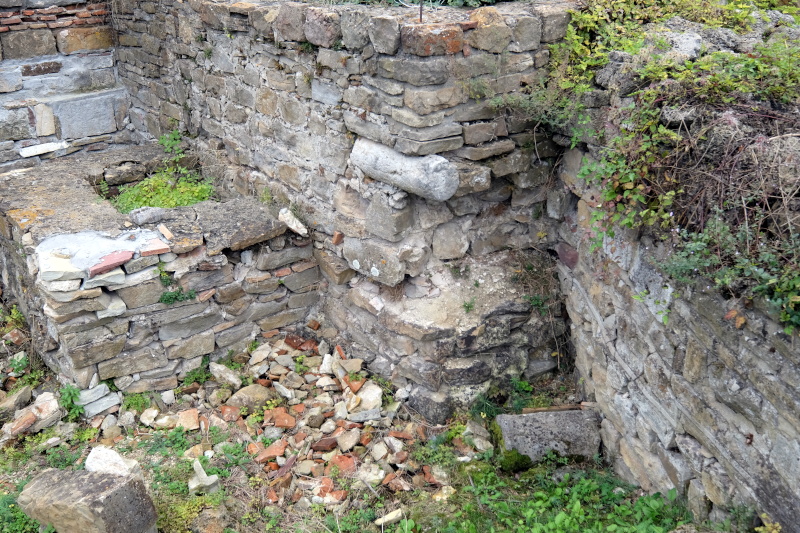 ������ �������, ���� ��������