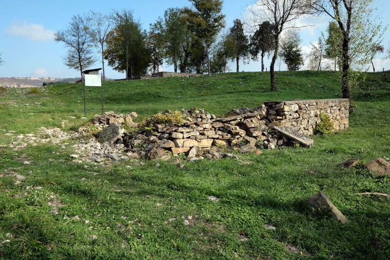 ������ �������, ���� ���������