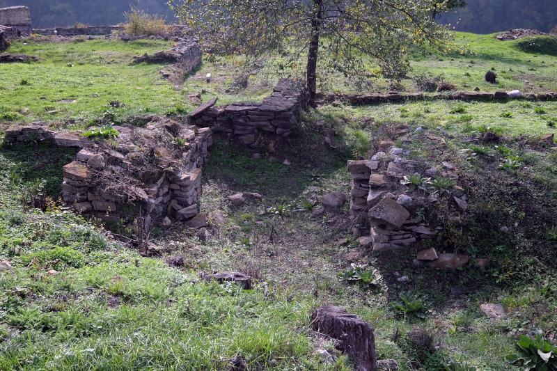 ������ �������, ���� ���������