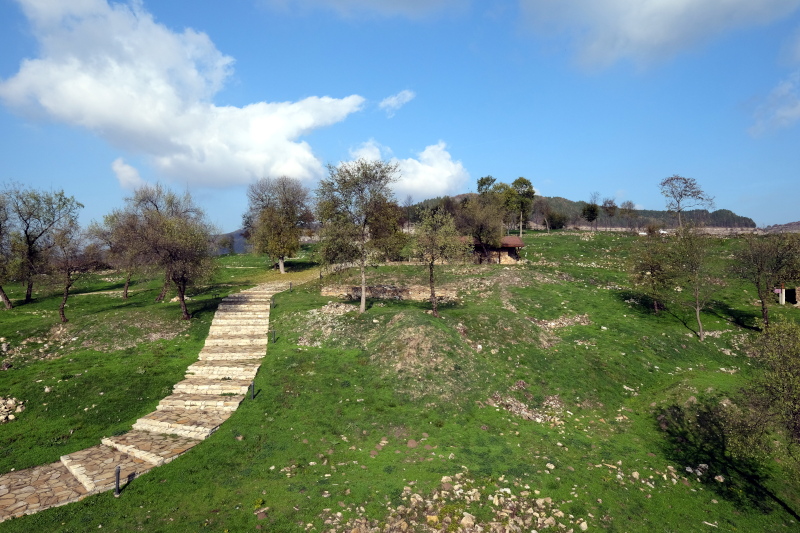 ������ �������, ���� ���������