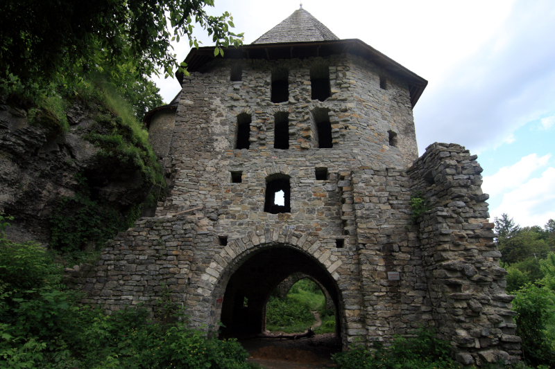 ���'�����-����������, �������� �����