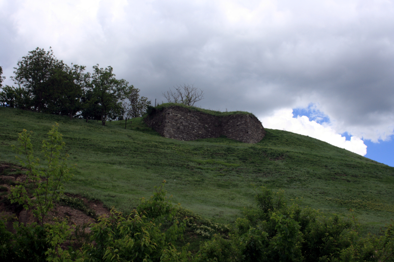 ���'�����-����������, ���� �������