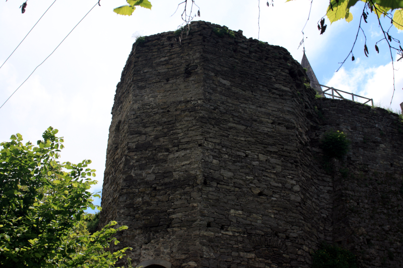 ������������, �����