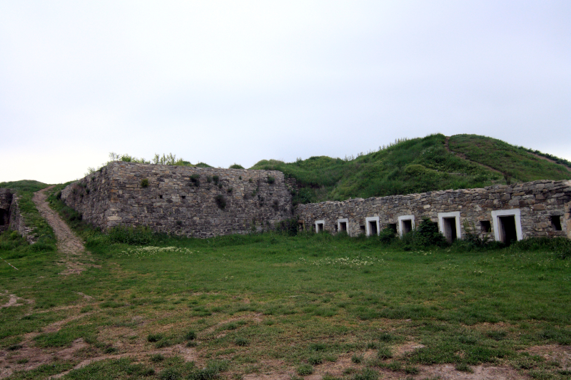 ���'�����-����������, ���� �������