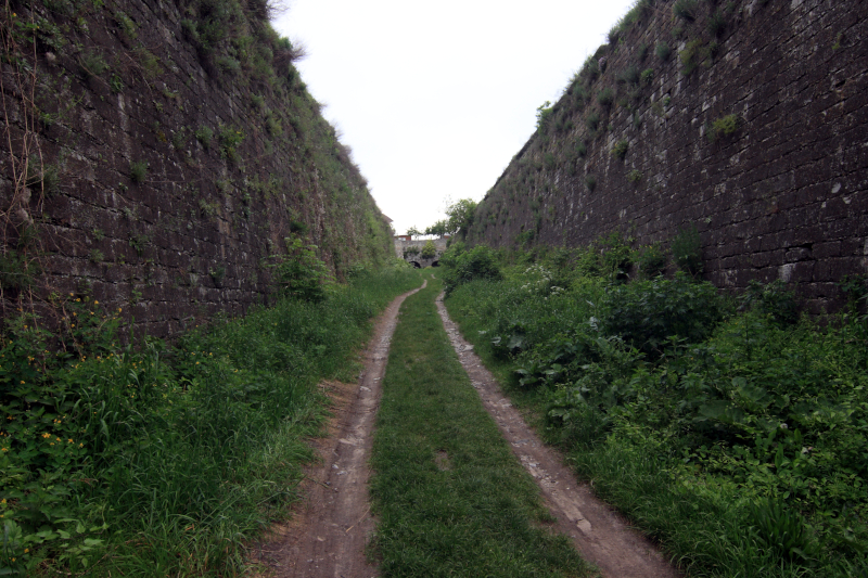 ���'�����-����������, ���� �������