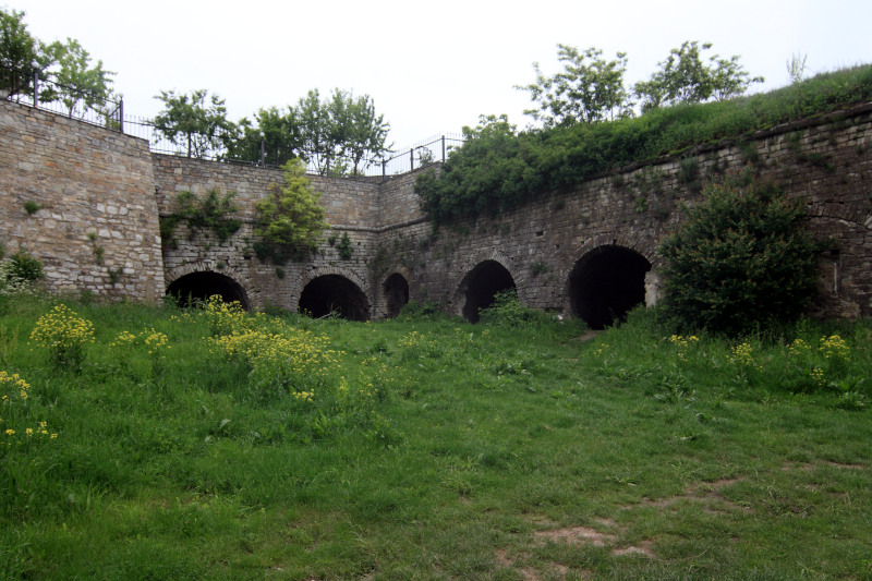 ���'�����-����������, ���� �������