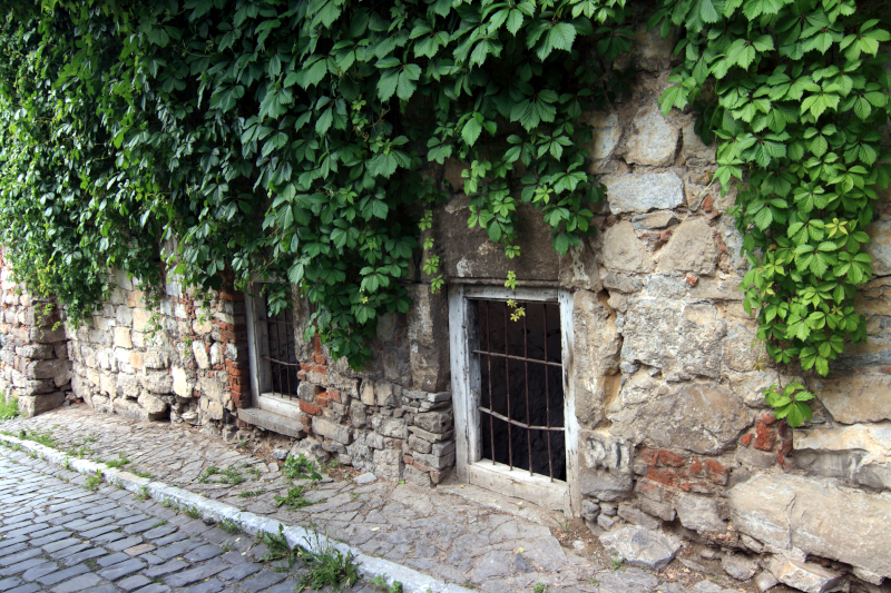 ���'�����-����������, ³������� ������