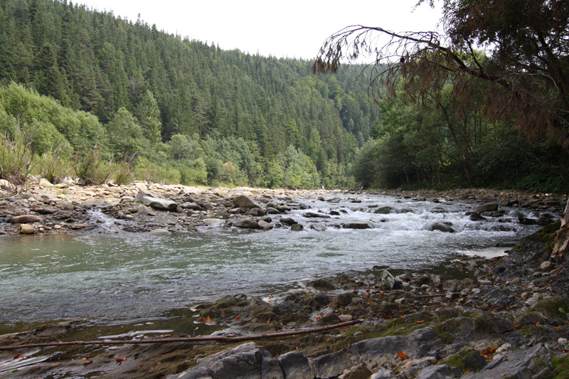 ���� ������ � ��������