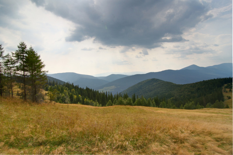 ���� ������ � ��������