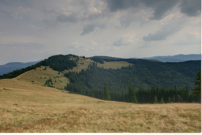 ���� ������ � ��������