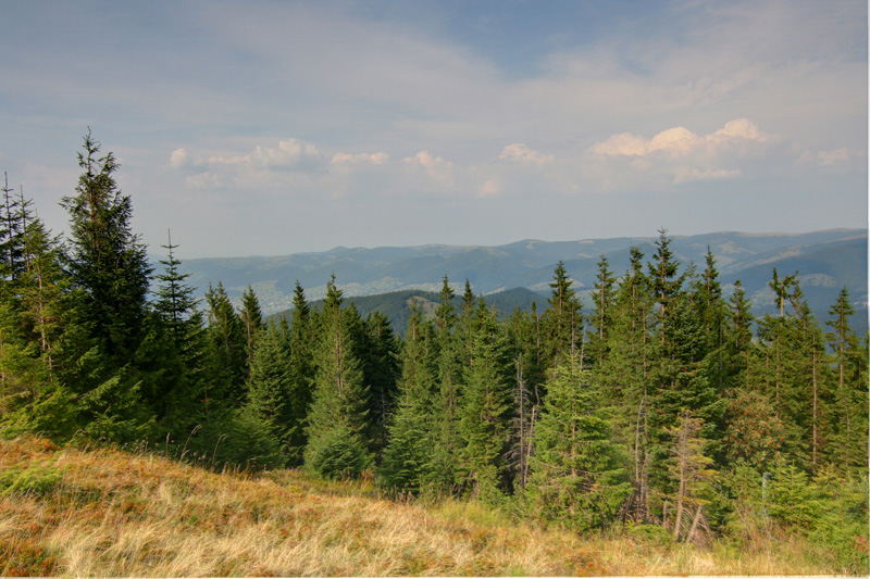 ���� ������ � ��������