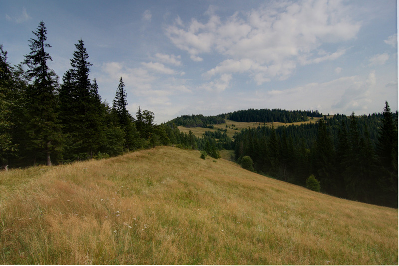 ���� ������ � ��������